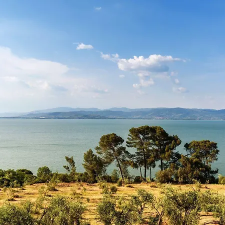 Tommaso 5 * Tuoro sul Trasimeno