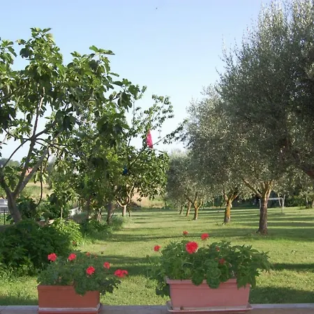 Tommaso 5