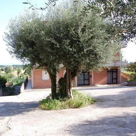Apartment Tommaso 5